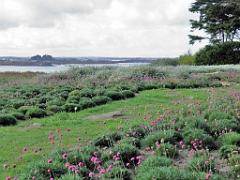 130 Ile de Batz Jardin Georges Delaselle_000037